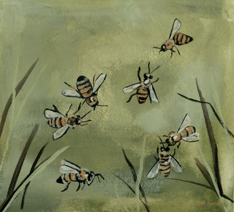 Olive Bee Downloadable Print - The Midnight Mustard Seed