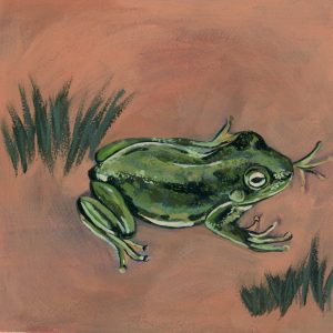 Acrylic Painting of a forest green frog on a coral background. Dark teal grass is painted around the frog.