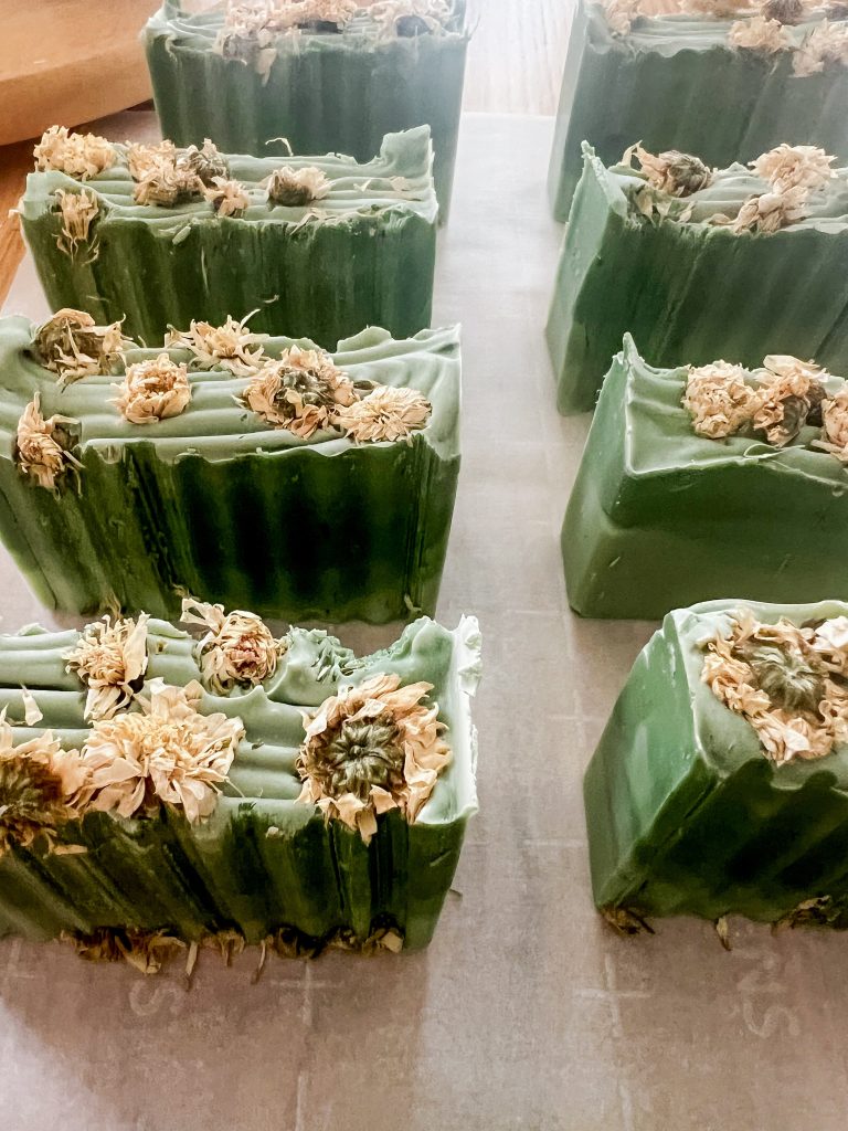 Eight bars of handmade nontoxic cold process soap bars in green aloe