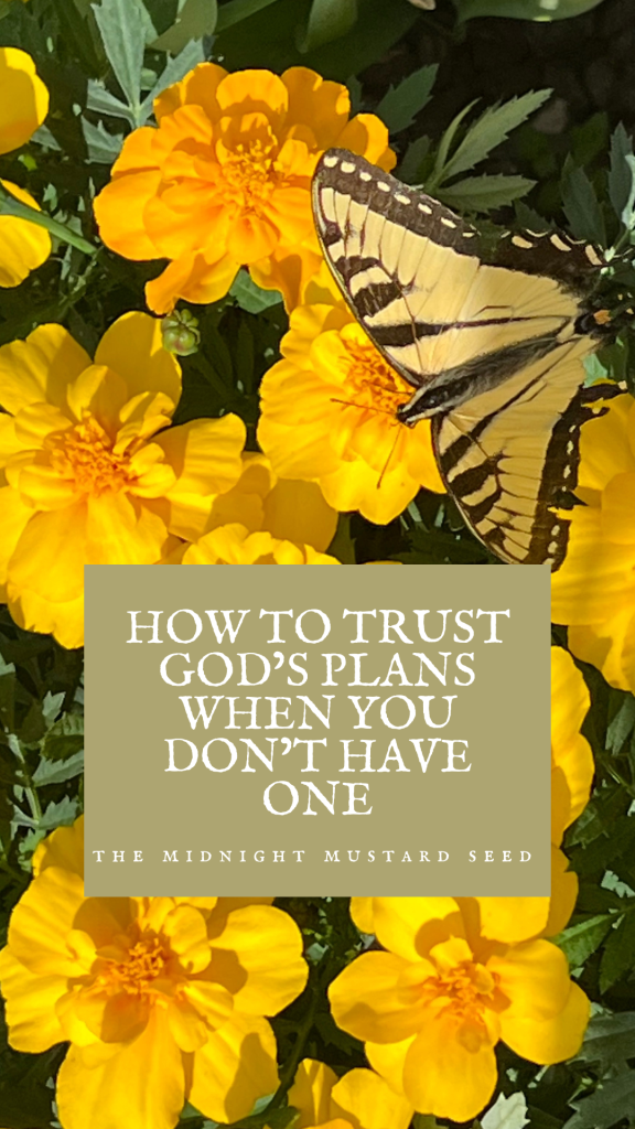 Yellow butterfly on yellow flowers with text that says “How to Trust Gods Plans When You Don’t Have One” by the midnight mustard seed