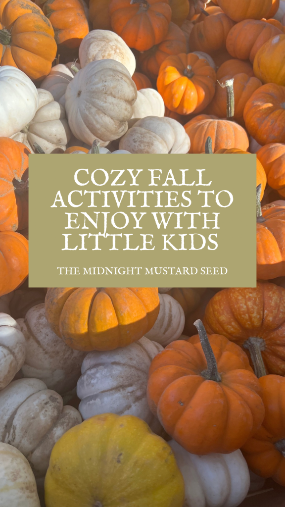 Lots of fall pumpkins in orange and whit with text that says Cozy Fall Activities to Enjoy With Little Kids by the midnight mustard seed