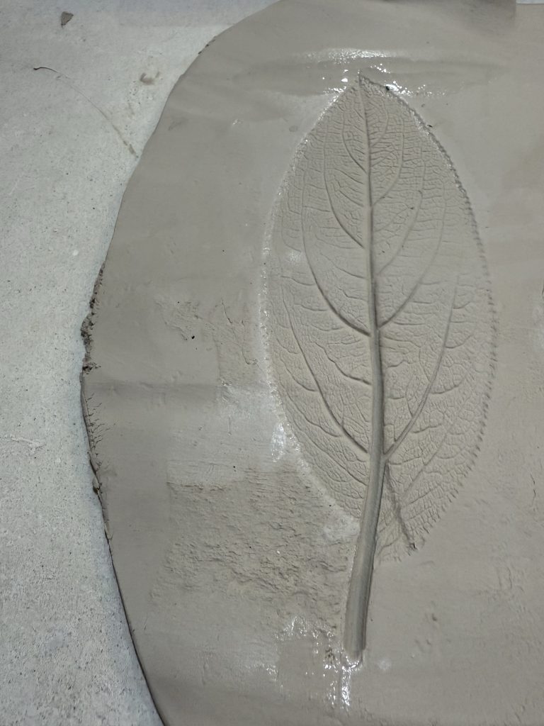  close-up image of a clay slab with a detailed leaf imprint pressed into its surface, showcasing the fine veins and outline of the leaf. The clay appears moist and smooth, with some water droplets visible, set against a plain background. This demonstrates a step in the process of creating clay leaf dishes, highlighting the technique of using a real leaf to add natural texture to the clay.