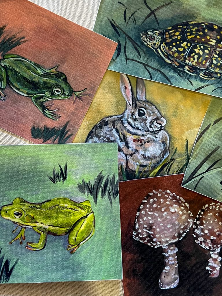 A collection of vibrant art prints from The Midnight Mustard Seed, featuring hand-painted illustrations of nature-inspired subjects. The prints include a green frog on a reddish background, a spotted turtle on a teal backdrop, a gray rabbit with pink ears on a yellow base, and two speckled mushrooms on a brown canvas. Each artwork is accented with stylized grass and twigs, showcasing a mix of earthy tones and lively details.