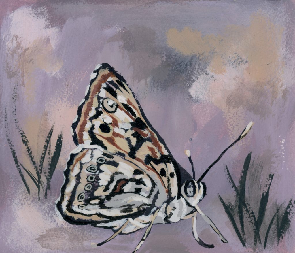 A vibrant art print from The Midnight Mustard Seed featuring a detailed illustration of a butterfly with intricate wing patterns in shades of brown, white, and black. The butterfly is perched on a soft purple background with a textured, cloudy sky effect, accented by stylized green grass blades at the base.