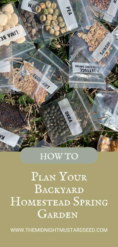 The image shows a collection of small, clear plastic ziplock bags containing various vegetable and garden seeds scattered on green grass. Each bag is hand-labeled with white tape or paper and contains different seed types, including:
•  Lima beans (large white beans)
•  Peas (mixed colors like green and brown)
•  Parsnips
•  Black Simpson seeded lettuce (small light seeds)
•  Eggplant (small brown seeds)
•  Okra (round grayish seeds)
•  Kale or similar (dark round seeds)
•  And others like mustard or carrot seeds
The bags are spread out in a casual, outdoor arrangement on the grass, likely as part of seed organization or planning for planting. Overlaid text at the bottom reads: “HOW TO PLAN YOUR BACKYARD HOMESTEAD SPRING GARDEN” with a link to www.themidnightmustardseed.com.
This photo illustrates seed variety selection and preparation for a spring homestead garden.